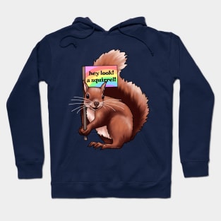 Hey Look A Squirrel Hoodie